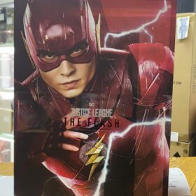 Hottoys MMS448 Justice League The Flash