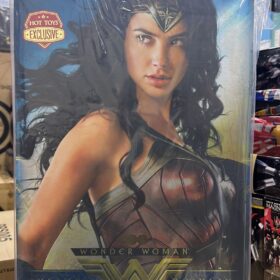 Hottoys MMS698 Wonder Woman Justice League