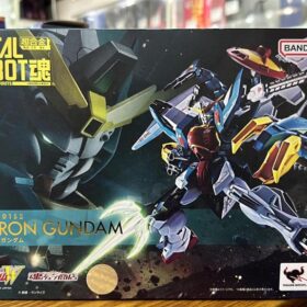 Bandai Metal Robot Spirits Altron Gundam