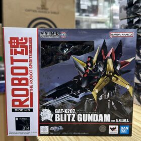 全新 Bandai Robot Spirits 314 GAT-X207 Blitz Gundam Seed Robot魂 機動戰士 高達 閃電高達