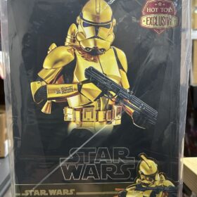 全新 Hottoys MMS735 Clone Troopers Gold Chrome Ver Star Wars Starwars 星球大戰 星戰 金兵 金色電鍍