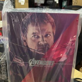 全新 Hottoys MMS289 Hawkeye Avengers 鷹眼 復仇者聯盟