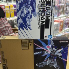 Bandai Metal Build Freedom Concept 2 Snow Sparkle Ver