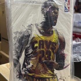 全新 Enterbay 1/9 MM-1025 Leborn James 勒邦占士 勒布朗 詹姆斯 克里夫蘭騎士隊 職業籃球