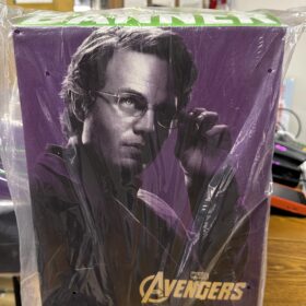 開封品 Hottoys MMS229 Bruce Banner Avengers Hulk 復仇者聯盟 變形俠醫 浩克