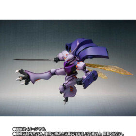 全新 Bandai Robot Spirits Robot Dunbine Shadow Finish Ver Robot魂 聖戰士登霸