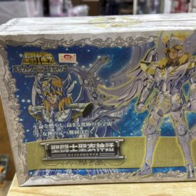 全新 Bandai Saint Seiya Myth Cygnus Hyoga Cloth God Cloth 聖鬥士星矢 聖衣神話 神聖衣 白鳥座 冰河