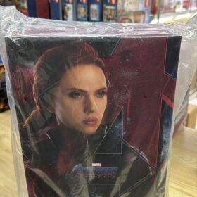 Hottoys MMS533 Black Widow Avengers Endgame