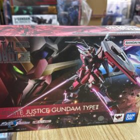 Bandai Metal Robot Spirits Infinite Justice Gundam Type II