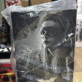 開封品 Hottoys MMS627 Catwoman The Dark Knight Trilogy 蝙蝠俠 貓女 黑暗騎士三部曲