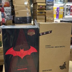 全新 Hottoys VGM029 VGM29 Batman Futura Knight 蝙蝠俠 阿卡漢騎士