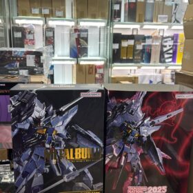 開封品 Bandai Metal Build Providence Gundam Climax Battle Ver Seed 天意高達 機動戰士 高達