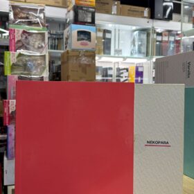 Native 1/7 Nekopara Chocola