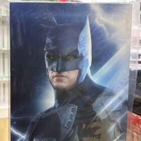 Hottoys MMS703 The Flash Batman