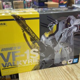 開封品 Bandai DX Chogokin VF-1S Valkyrie Roy Focker Specail Macross DX超合金 韋基利 超時空要塞