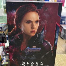 開封品 Hottoys MMS533 Black Widow Avengers Endgame 終局之戰 黑寡婦