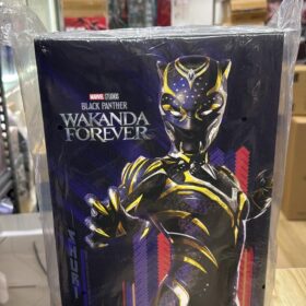 全新 Hottoys MMS675 Black Panther Wakanda Forver 女黑豹 瓦干達萬歲 黑豹
