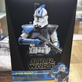 開封品 Hottoys TMS133 ARC Trooper Echo The Clone Wars Star Wars Starwars 星球大戰 星戰