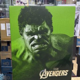 Hottoys MMS186 The Avengers Hulk 復仇者聯盟 變形俠醫