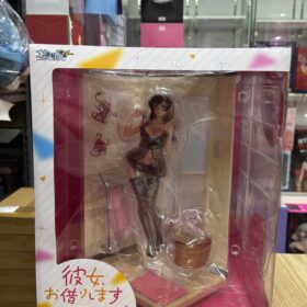 全新 Hakoiri Murume 1/6 Chizuru Mizuhara See Through Lingerie Rent A Girlfriend 出租女友 水原千鶴 透視內衣 箱娘