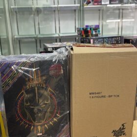 開封品 Hottoys MMS487 T’Chaka Black Panther 黑豹 帝查卡