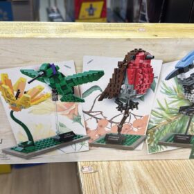 全新 Lego 21301 Birds Ideas 鳥