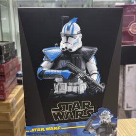 開封品 Hottoys TMS133 ARC Trooper Echo The Clone Wars Star Wars Starwars 星球大戰 星戰