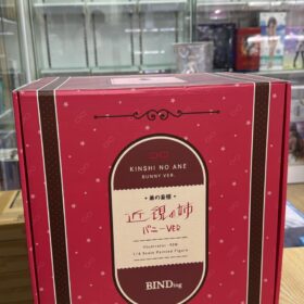 開封品 BINDing 1/4 Myopia Sister Bunny Ver 近視的姊姊 兔女郎