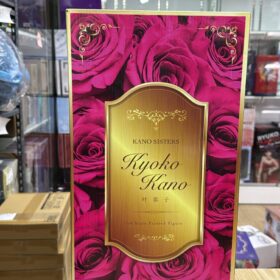 開封品 B Style FREEing 1/4 Kyoko Kano Kano Sisters 叶恭子 叶姊妹