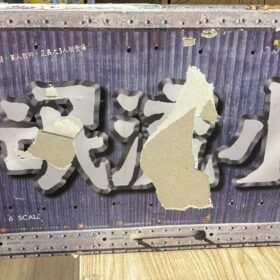 開封品 Hottoys Dragon Tiger Gate 文化傳信 黃玉郎 小流氓 龍虎門 三皇 王小虎 王小龍 石黑龍