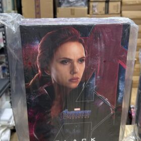 全新 Hottoys MMS533 Black Widow Avengers Endgame 終局之戰 黑寡婦