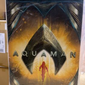 開封品 Hottoys MMS518 Aquaman DC 水行俠