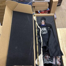 開封品 Ace ToyZ 1/6 Kung Fu Master II 武術宗師 甄子丹 納蘭元述 黃飛鴻