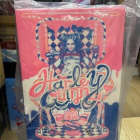 開封品 Hottoys MMS383 Harley Quinn Suicide Squad Joker 自殺特攻隊 小丑女