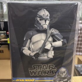 全新 Hottoys TMS142 104th Battalion Wolfpack Clone Trooper The Clone Wars Wars Star Wars Starwars 星球大戰 星戰 複製人之戰 複製人 士兵