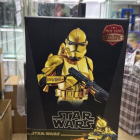 開封品 Hottoys MMS735 Clone Troopers Gold Chrome Star Wars Starwars 星球大戰 星戰 金兵 金色電鍍