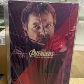 全新 Hottoys MMS289 Hawkeye Avengers 鷹眼 復仇者聯盟
