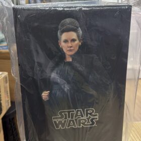 全新 Hottoys MMS459 Leia Organa Carrie The Last Jedi Star Wars Starwars 星球大戰 星戰 最後的絕地武士 莉亞 公主