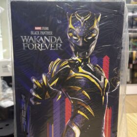 開封品 Hottoys MMS675 Black Panther Wakanda Forver 女黑豹 瓦干達萬歲 黑豹