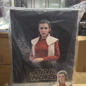 開封品 Hottoys MMS508 Princess Leia Bespin Star Wars The Empire Strikes Back 星際大戰五部曲 帝國大反擊 莉亞公主 貝斯平