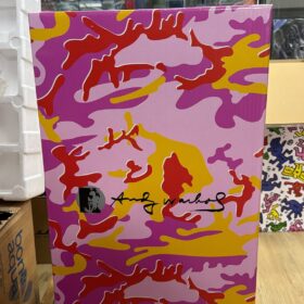 開封品 肚有花 Medicom Toy Be@rbrick Bearbrick 1000% Andy Warhol Pink Camo Version  藝術家 安迪華荷