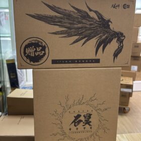 開封品 Ccstoys CCS Toys Cybaster Possession Ver Special Edition 風之魔裝機神 精靈憑依 超級機械人大戰