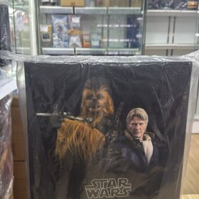 全新 Hottoys MMS376 Han Solo And Chewbacca Set Star Wars Starwars 星球大戰 韓 索羅 朱兒