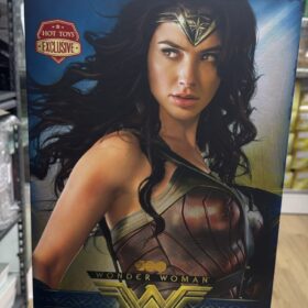 開封品 Hottoys MMS698 Wonder Woman Justice League 神奇女俠 神力女超人 正義聯盟