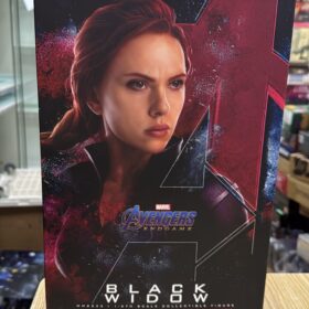 開封品 Hottoys MMS533 Black Widow Avengers Endgame 終局之戰 黑寡婦